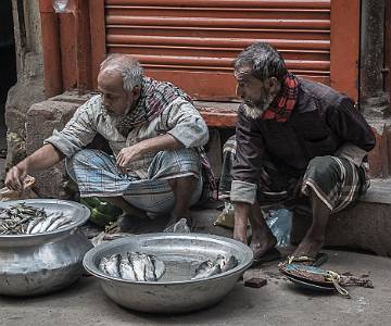 AJR-7648 Old Dhaka, Fish Sellers