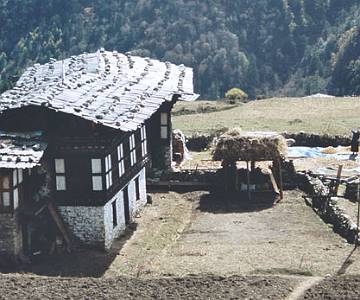 imm002_N2-2