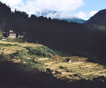 imm009_N9-1