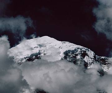 imm036_N36-1