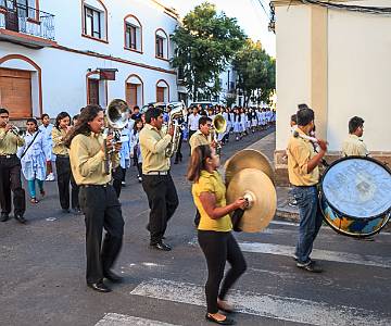 AJR-0357 School Band Sucre