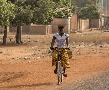 AJR-8439 Cycling to Market