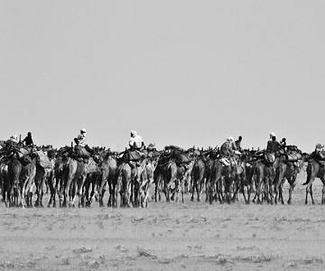 _MG_2618 Camel Caravan in the Bhar el Ghazal
