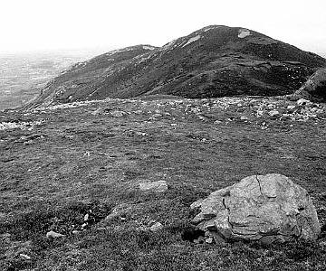 Image04