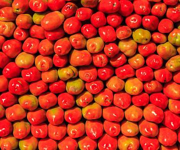 MAD-8818 Tomatoes, Asmara Market
