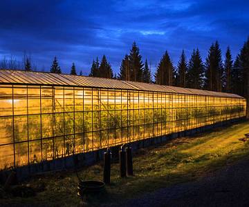 AJR-4714 Greenhouse for Tomatoes