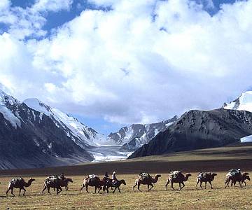 mon363-camels-on-pass