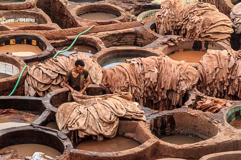 Fes Tanneries