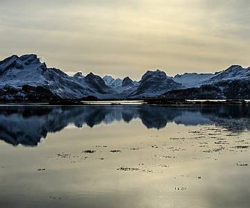 AJR-1381 Lofoten