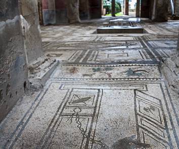 AJR-9257 Mosaic floor Fullonica Di Stephanus