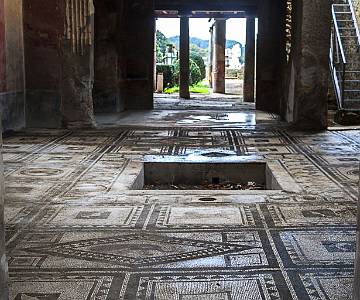 AJR-9258 Mosaic floor Fullonica Di Stephanus