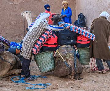 AJR-8306 Loading Camels at Start of Trek