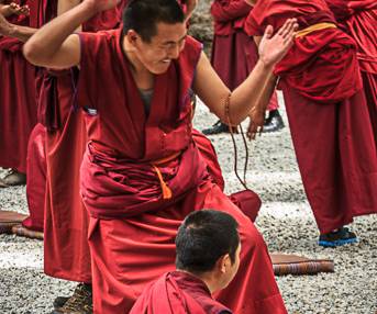 AJR-6703 Monks Debating, Sera Monastery