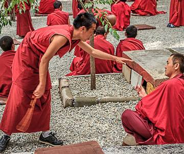 AJR-6719 Monks Debating, Sera Monastery