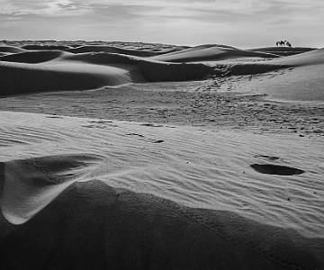 AJR-4722 Desert Scene