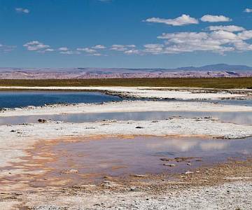 _MG_9308 Laguna Cejar, Salar de Atacama