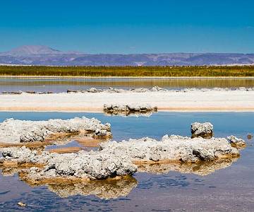 _MG_9309 Salar de Atacama