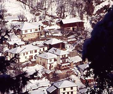 Image02