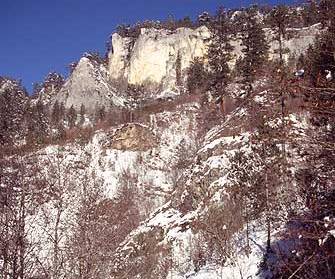 Image03