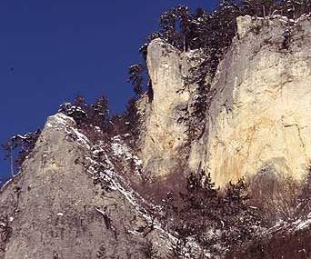 Image04