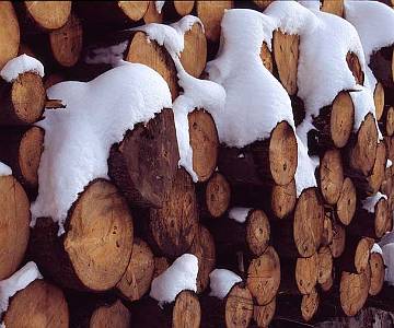 logs
