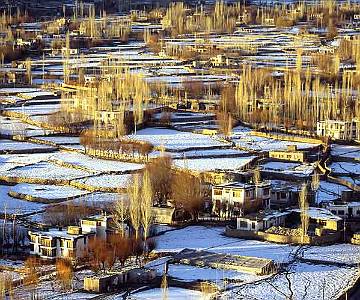 leh_in_snow The fields above Leh, Ladakh