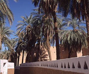 lib13-35 Ghadames Gardens