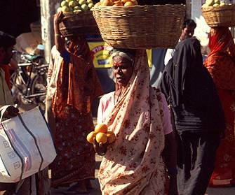 F328 Orange Seller, Mysore