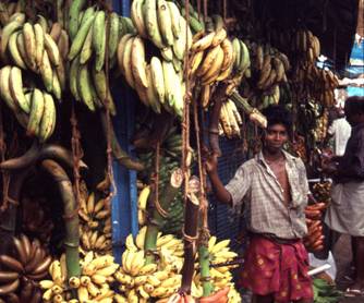 F909 Banana Seller