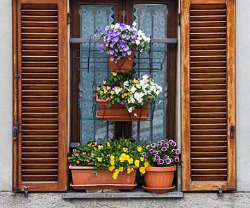 Window Garden