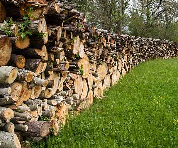 Wood Pile