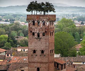Torre Guinigi