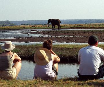 zambezi--2