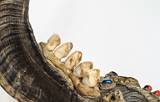 Ritual, from Many Religions    Shaman' s Stick (?), horn, llama teeth, snake, beads, textile, wood, putty; Ollantaytambo, Peru    MUS-2810.jpg  &copy 1990-2015 AJ Rye : ritual